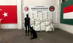 Kapıkule’de Çifte Operasyon: 245 Kilo Uyuşturucu Yakalandı