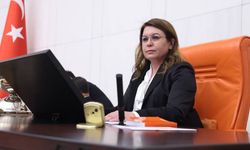 Karaca: Zeydan Karalar’ın cezaevinde ne işi var?