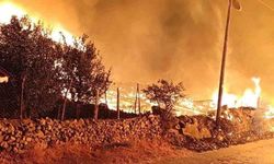 Köyde çıkan yangında 6 ev küle döndü