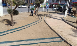 Manisa’da doğa dostu peyzaj uygulamaları yayılıyor