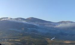 Manisa’da yangınlar havadan ve karadan söndürülüyor