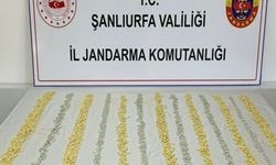 MİT tespit etti, jandarma operasyon düzenledi