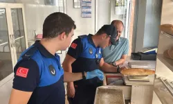Muğla’da gıda güvenliği için sıkı denetim