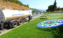 Muğla'dan kent estetiğine yeşil dokunuş