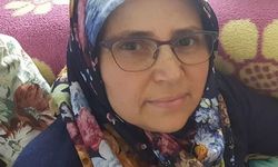Sahipsiz köpeklerden kaçarken aracın altında kaldı