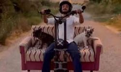 Scootere koltuk monte edip, köpekleriyle yolculuk yaptı