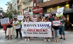Tepkilere rağmen yaban hayvanları ihale ile avlatılıyor!