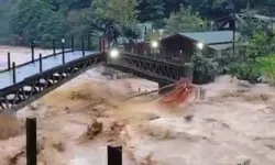 Artvin sele teslim oldu, 7 köye ulaşılamıyor