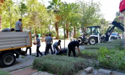 İzmir Bornova’da sakura ve tarçınla yeni bir soluk