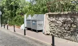 Çöp Konteynerinde Dehşet: Yanık ve Kesik İzleri Bulunan Bebek Ölü Olarak Bulundu