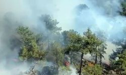 Köyceğiz ormanlar yangını devam ediyor