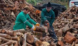 Ada'da budanan ağaçlar evleri ısıtıyor