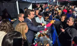 Bodrum'da 3 ton hamsi dağıtıldı