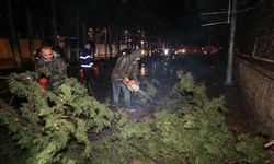 Buca Belediyesi ekiplerinin fırtına ve yağış mesaisi