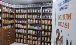 Büyükşehir Yerel Tohum Merkezi'nden 81 ile 22 milyon yerel tohum desteği
