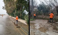 Efeler Belediyesi yağışa rağmen sahada