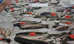Ege'de fırtına balıkçıları limana bağladı: Fiyatlar kısa süreli yükselebilir