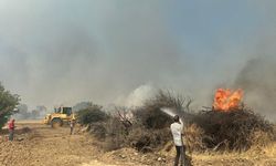 Foça-Aliağa arasında çıkan yangın için seferber oldular