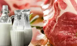 İstanbul'da ramazan öncesi et ve tereyağına fiyat sabitlemesi