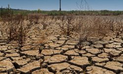 İzmir barajlarında son durum: Kritik seviyeler sürüyor