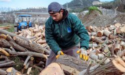 Kuşadası'nda ağaç atıkları ihtiyaç sahipleri için kara kışta yakacağa dönüşüyor