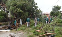 Kuşadası'nda ekiplerden kritik müdahale