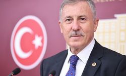Selçuk Özdağ TBMM'DE ekoloji örgütleri ile buluştu