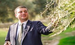 Torbalı'da zeytin hasadı markaya dönüştü