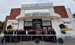 352 Kadın 'Sarışın Bir Kurt' Sergisinde Buluştu