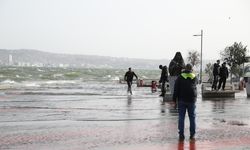 İzmir körfezi'ndeki midyelerde Hepatit A ve Norovirüs alarmı