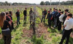 Buca'nın bağlarında geleceğin ziraat mühendisleri yetişiyor