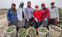 Efeler'de kadın hayatın merkezi oluyor