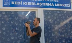 Kuşadası Belediyesi Veteriner İşleri Müdürü kısırlaştırmanın önemine dikkat çekti