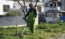 Kuşadası'nda yeşil alanlar ve sokaklar yenileniyor