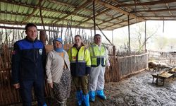 Çavuşoğlu'nun hayvancılık hamlesine üreticiden tam not