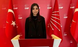 CHP'li Akçaalan: 'Pahalılığın sorumlusu AKP'dir'