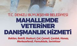 Denizli Büyükşehir'den üreticiye sahada destek