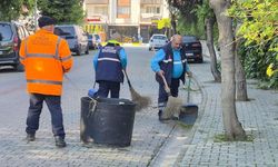 'Efeler'in her sokağı bizim evimiz..'