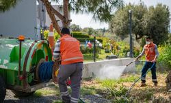 Güzelçamlı'dan Kuştur'a kıyı şeridine yoğun mesai