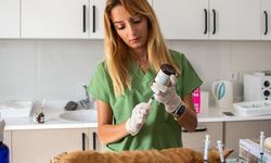 Kuşadası Belediyesi patili dostların her zaman yanında