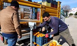 Mandalin üreticisine 5 milyon kazanç