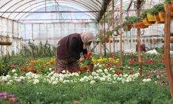 Muğla'da üretici kadınlar meclisi kuruluyor