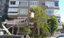 Efelerde kapsamlı bakım çalışmaları sürüyor