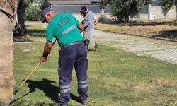 Efeler'in Yeşil Alanlarında Yaz Temizliği