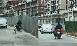 Köpeği Motosikletle Koşturana Para Cezası