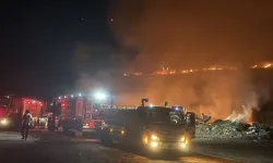 Bodrum'da çıkan yangın korkuttu
