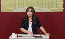 DEM Parti'den çerçeve yasa taslağı açıklaması