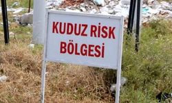 Diyarbakır'da Kuduz Alarmı: 4 Yaşındaki Çocuk Entübe Edildi