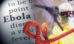 Ebola alarmı: Can kaybı 2 bini aştı