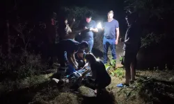 Kütahya'da ormanda silahlı saldırı: 1 yaralı